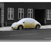 Frossen VW Beetle